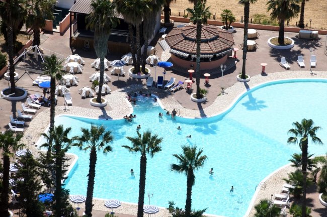 Vista dall'alto di una grande piscina all'aperto circondata da palme, con lettini e ombrelloni.