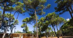 PuntAla Camp & Resort - Castiglione della Pescaia - Toscana