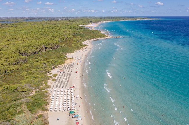 Spiaggia con ombrelloni bianchi, mare azzurro e verde pineta.