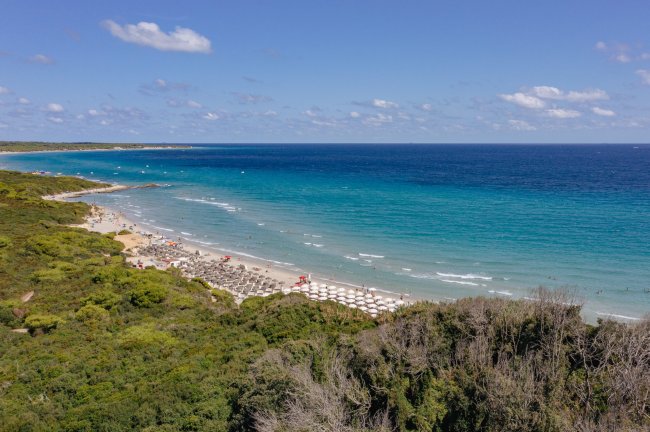Spiaggia con mare azzurro e sabbia, circondata da vegetazione verde.