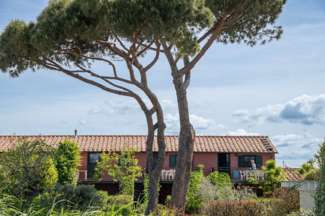 Edificio con tetto in tegole rosse e albero grande in primo piano.