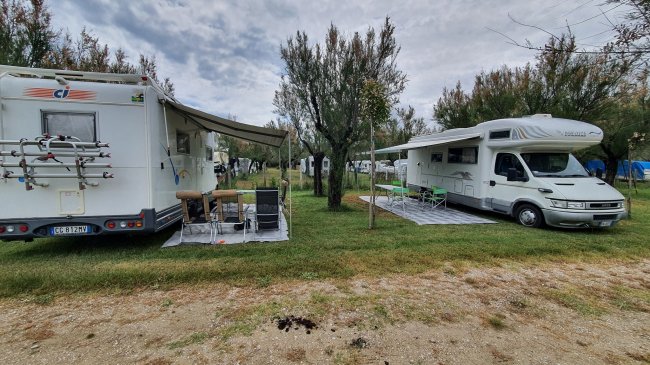 Due camper parcheggiati su erba.