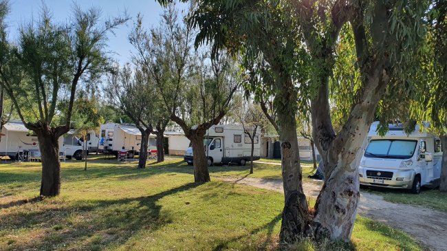 Camper tra alberi in un camping diurno.