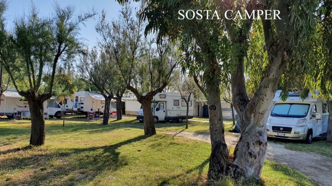 Area camper immersa nella natura con alberi.