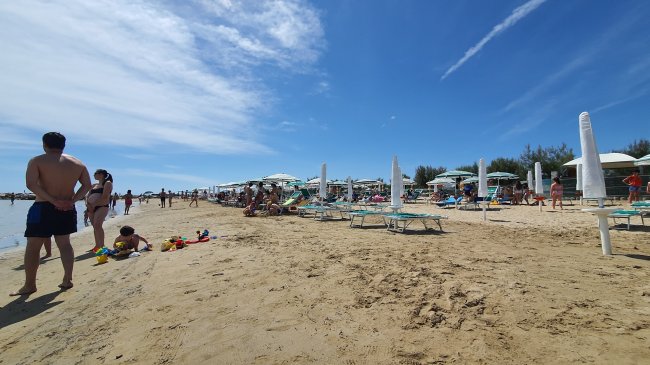 Persone sulla spiaggia con ombrelloni verdi.