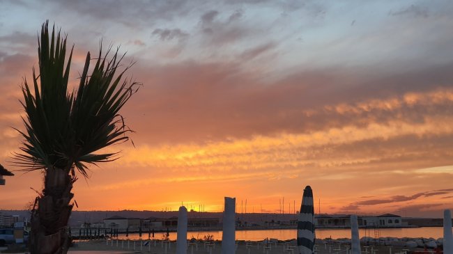 Palma silhouette e tramonto arancione sul mare.