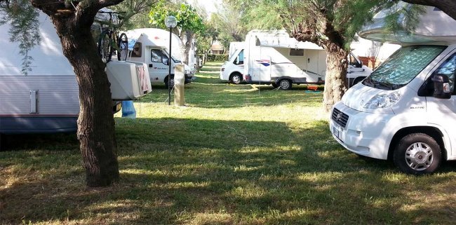 Camper parcheggiati in un'area verde ombreggiata.