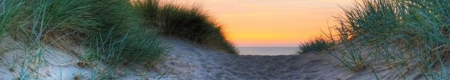 Sentiero tra dune di sabbia al tramonto.