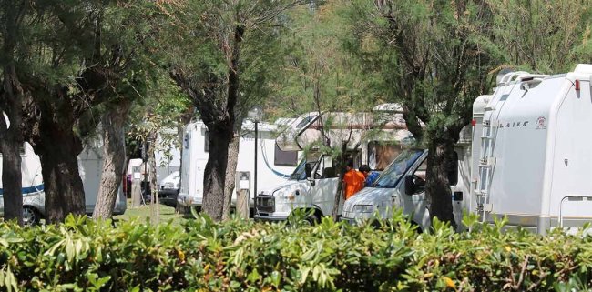 Diversi camper parcheggiati tra alberi.