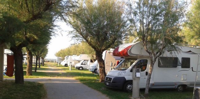 Strada sterrata tra camper parcheggiati sotto alberi.