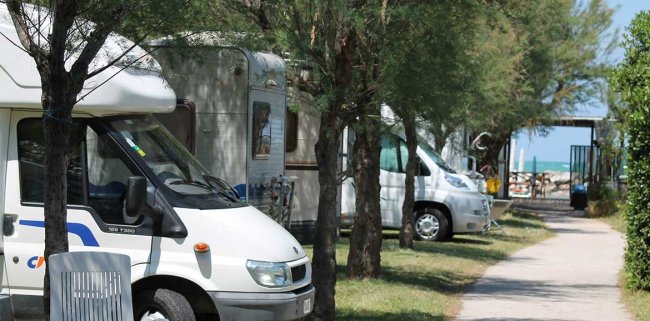 Area camper vicino al mare con alberi.