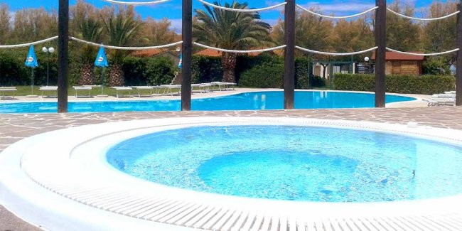 Piscina con vasca idromassaggio e palme.