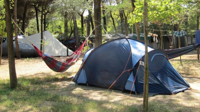 Una tenda blu e un'amaca in un campeggio boscoso.