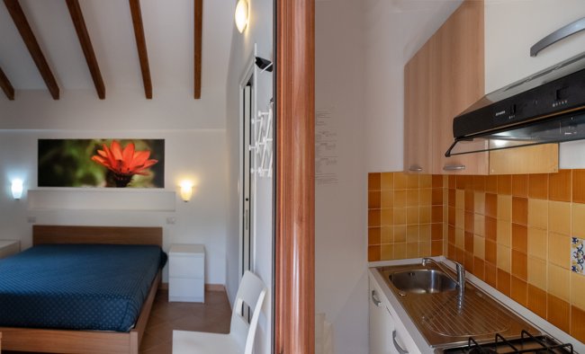 Scorcio di camera con cucina e letto.