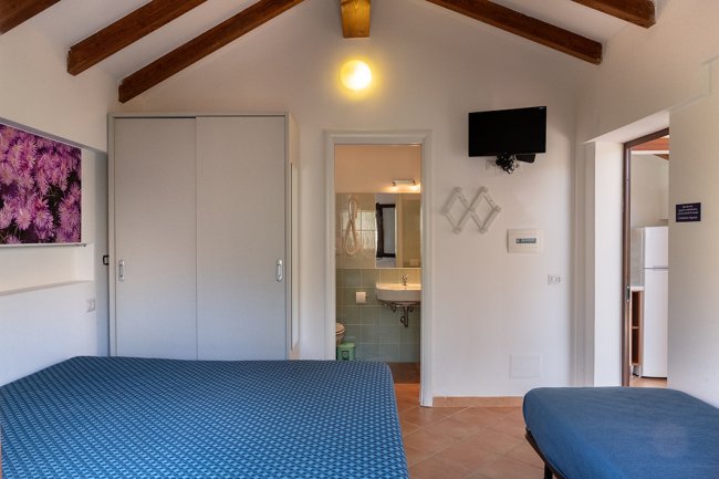 Stanza con letto, TV e accesso al bagno.