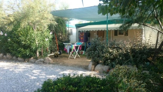 Camping Village Torre Di Velia (SA) Campania