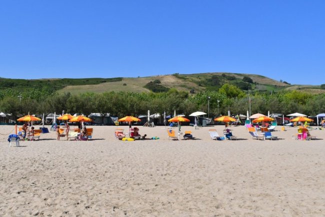 Spiaggia con sdraio e ombrelloni arancioni.