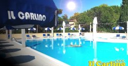 Spiaggia affollata con ombrelloni blu.