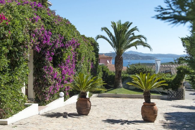 Viale con palme e bouganville, vista mare.