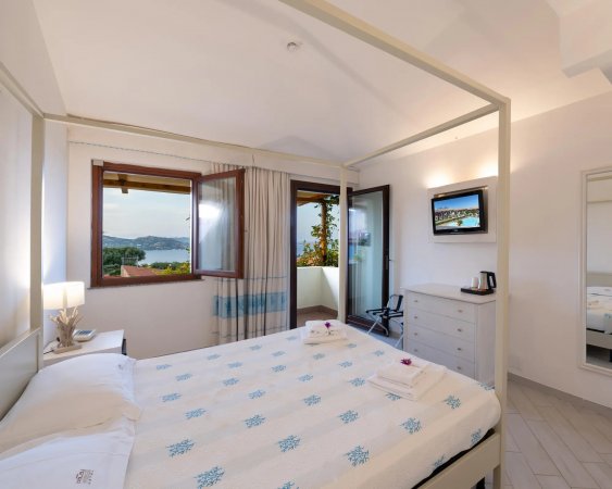 Camera con letto matrimoniale, vista mare, TV e accesso balcone.