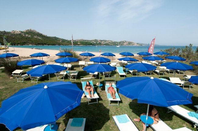 Lettini e ombrelloni blu su erba, vicino a una spiaggia sabbiosa.