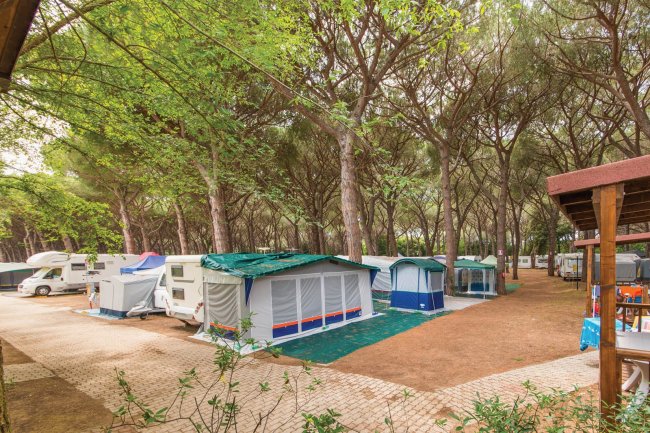 Hawaii Camping Internazionale (GR) Toscana