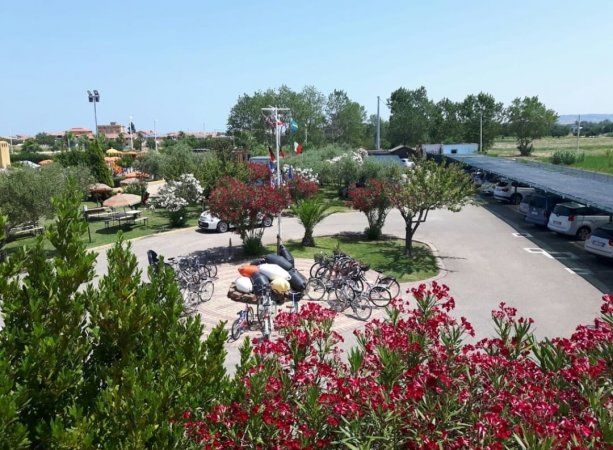 Parcheggio con biciclette e alberi fioriti.