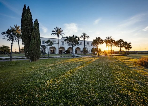 AmareGold Tenuta La Baronessa (LE) Puglia
