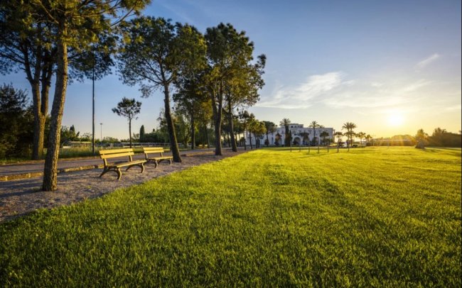 AmareGold Tenuta La Baronessa (LE) Puglia